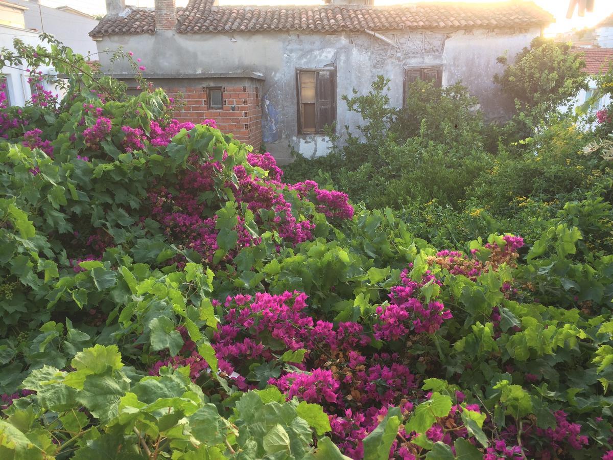Çeşme Parmis Rooms מראה חיצוני תמונה